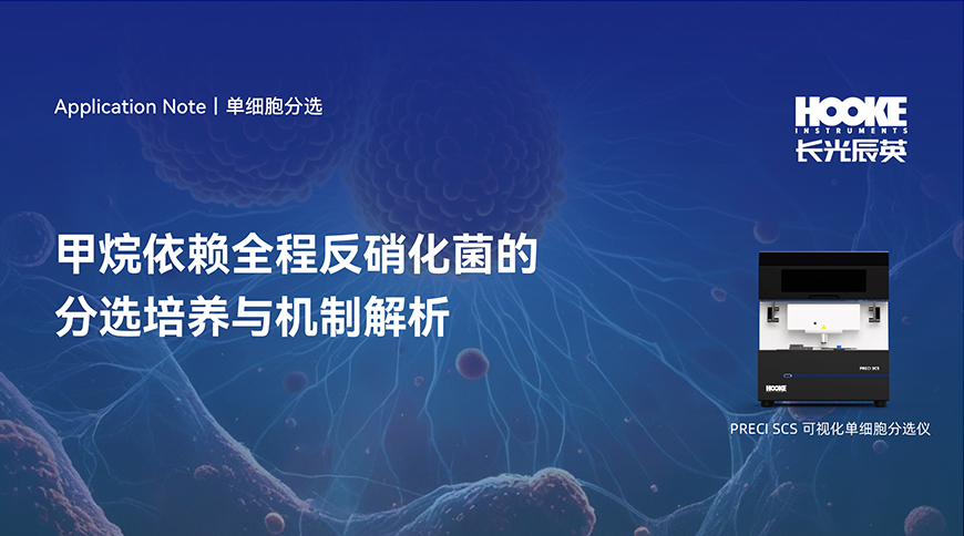 网站标题图.jpg