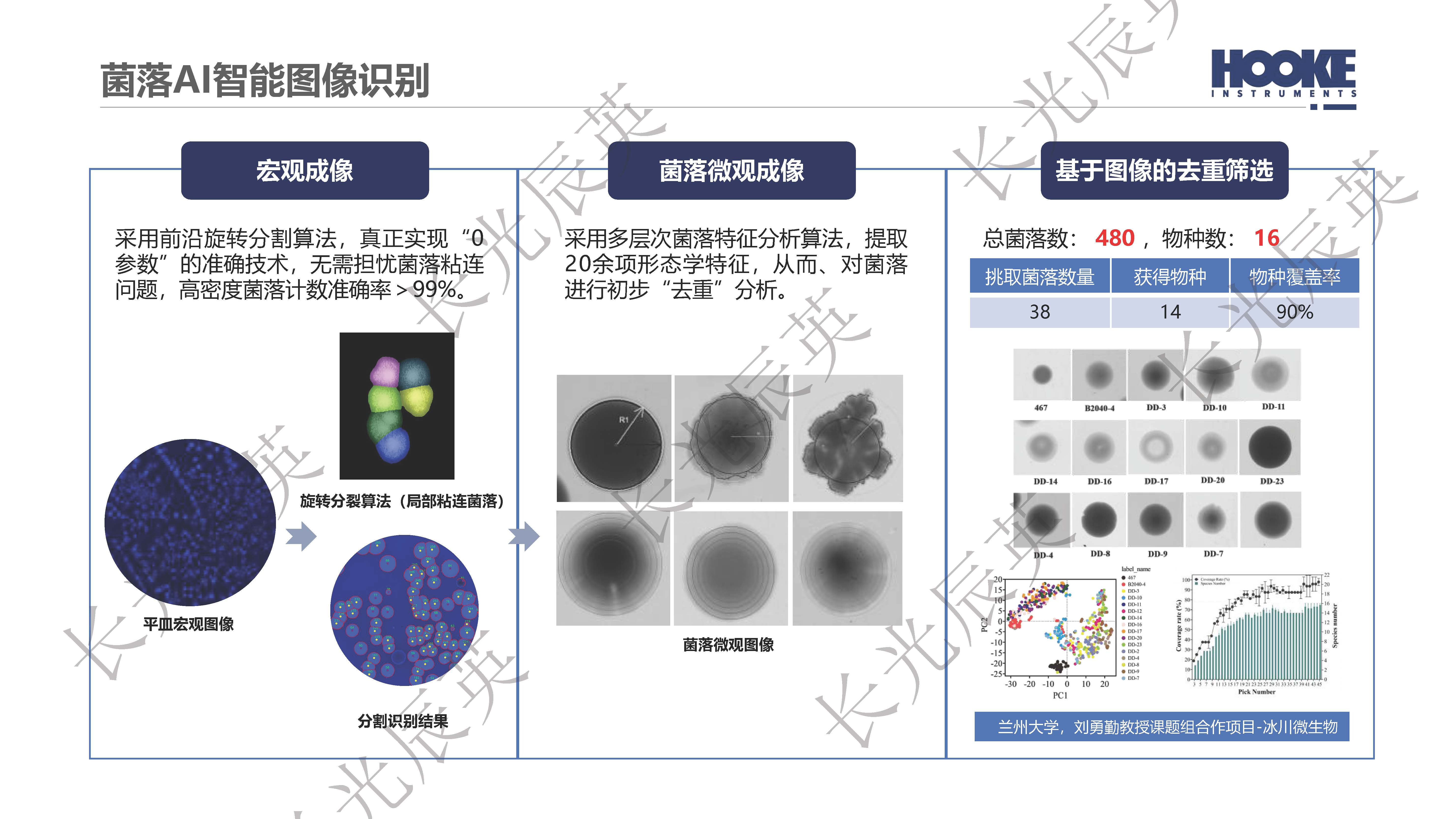 多模态AI识别赋能菌落原位去重复-直播_页面_10.jpg