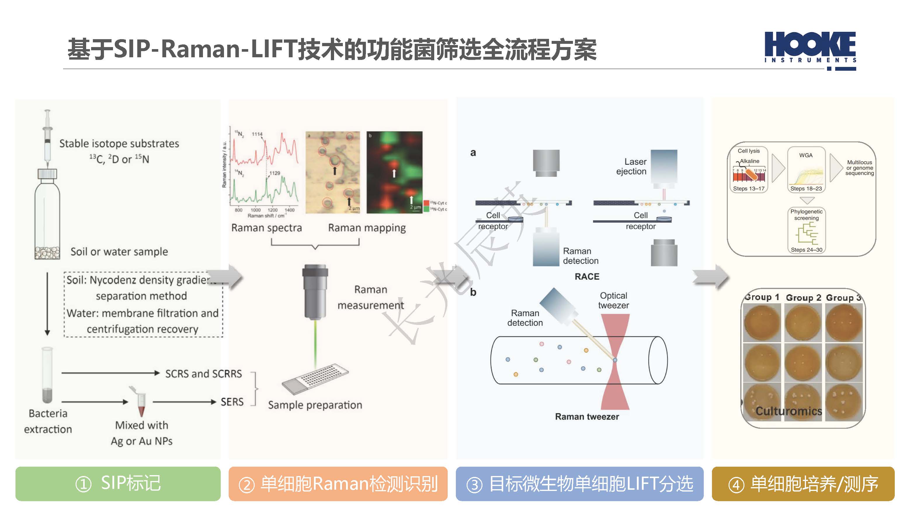 基于单细胞前沿技术的生物修复功能菌筛选_长光辰英_页面_06.jpg