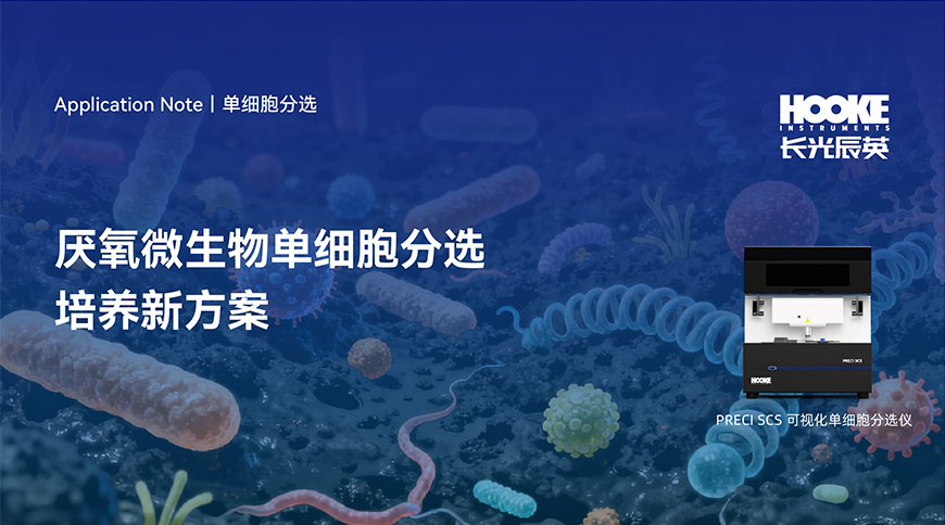 网站标题图.jpg