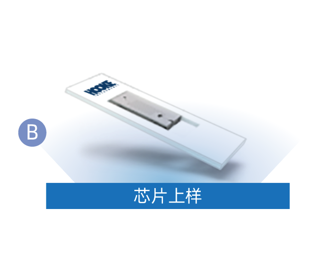 微信图片_20260610092533_287_39.png