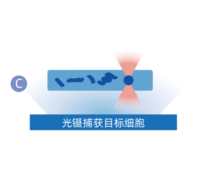 微信图片_20260610092543_288_39.png