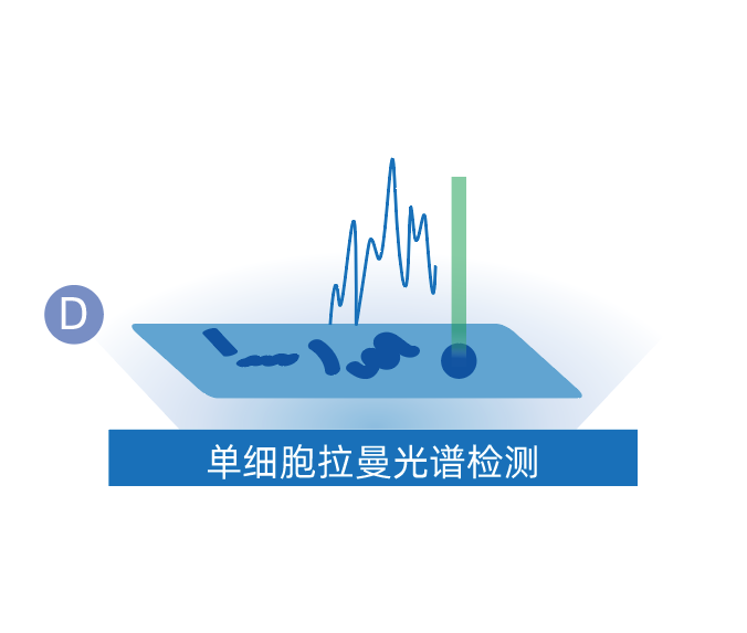 微信图片_20260610092558_289_39.png