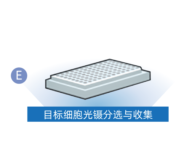 微信图片_20260610092604_290_39.png