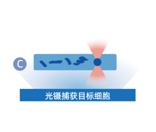 微信图片_20260610161731_294_39.png