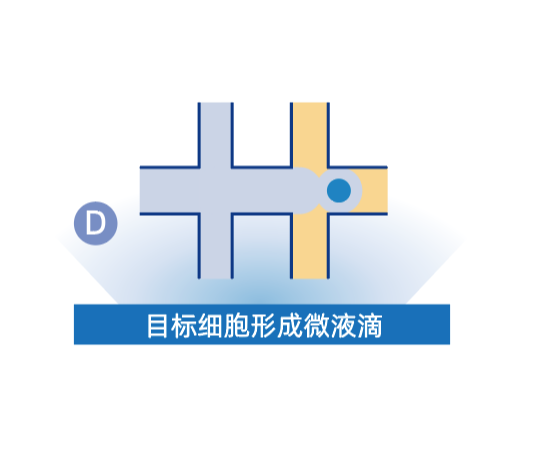 微信图片_20260610161739_295_39.png