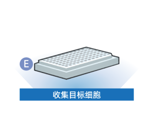 微信图片_20260610161748_296_39.png